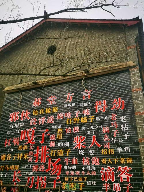 西善堂村爆料案件最新,真相渐露,疑云重重 第1张 西善堂村爆料案件最新,真相渐露,疑云重重 第1张