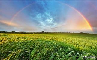 雨后彩虹爆料视频大全集,揭秘大自然奇观视频大全集 第3张 雨后彩虹爆料视频大全集,揭秘大自然奇观视频大全集 第3张